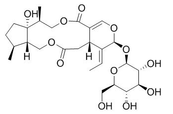 Isojasminin