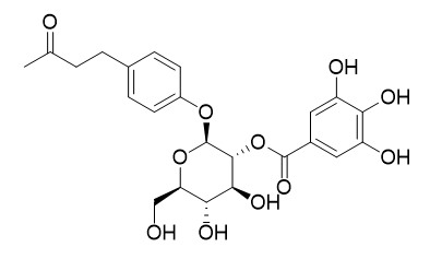 Isolindleyin