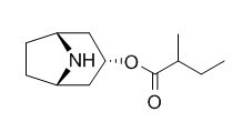 Isoporoidine