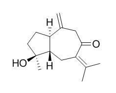 Isoprocurcumenol