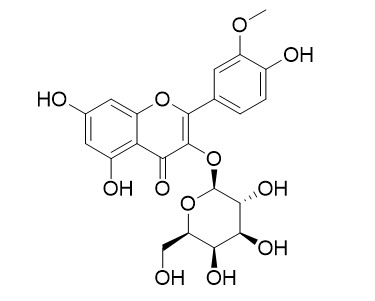 Isorhamnetin 3-O-galactoside