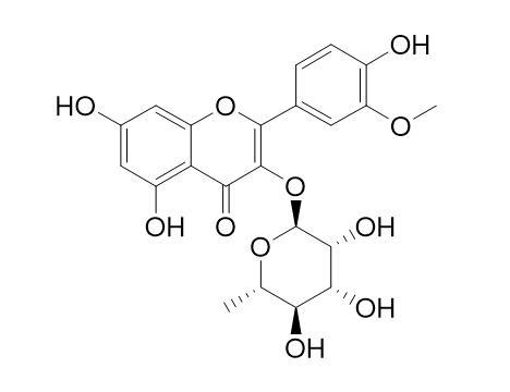 Isorhamnetin-3-O-rhamnoside