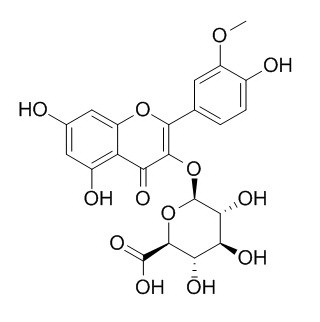 Isorhamnetin 3-glucuronide