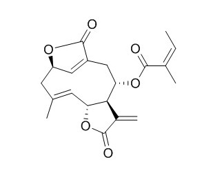 Isoscabertopin