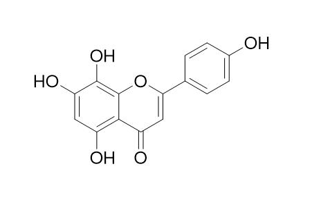 Isoscutellarein