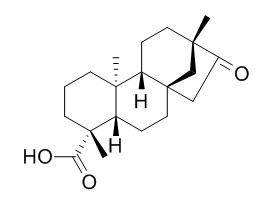 Isosteviol