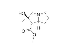 Isotussilagine