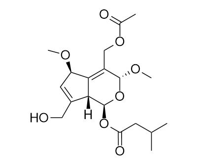 Jatairidoid A