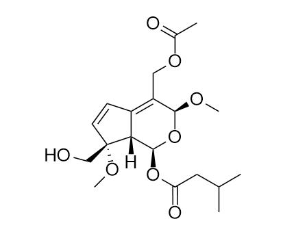 Jatamanvaltrate N