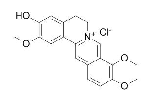 Jatrorrhizine Hydrochloride