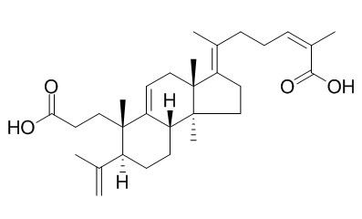 Kadsuracoccinic acid A