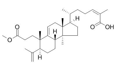 Kadsuric acid 3-methylester