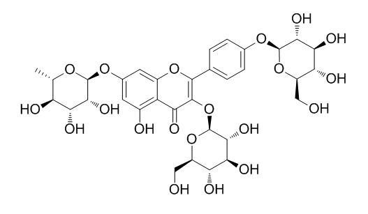 Kaempferol 3,4'-diglucoside 7-rhamnoside