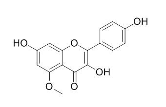 Kaempferol 5-methyl ether