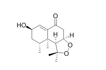 Kanshone B