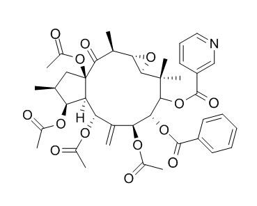 Kansuinine E