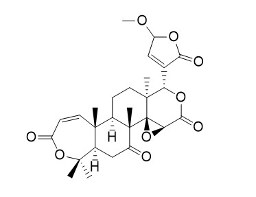 Kihadanin D