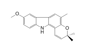 Koenimbine