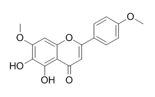 Ladanein