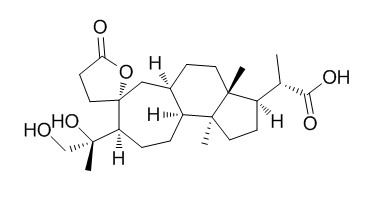 Lancifodilactone F