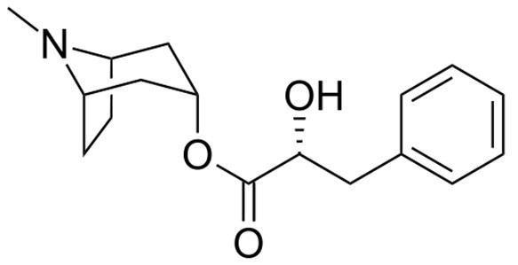 Littorine