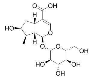 Loganic acid