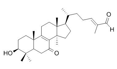 Lucidal