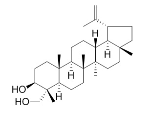 羽扇-20(29)-烯-3bate,23-二醇