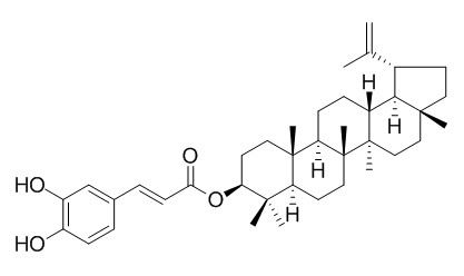 Lupeol caffeate