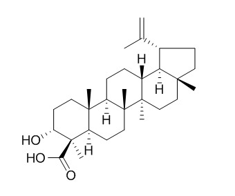 Lupeolic acid