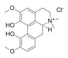 Magnoflorine chloride