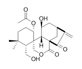 Maoyecrystal E