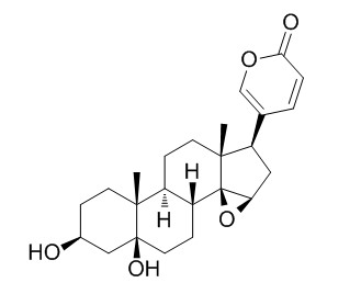 Marinobufagenin