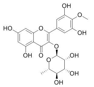 Mearnsitrin