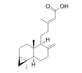 Metasequoic acid A