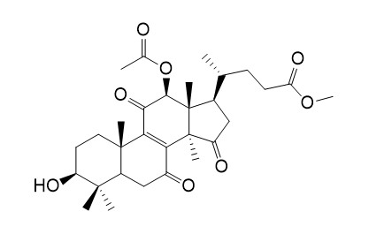 Methyl lucidenate E2