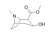 Methylecgonine