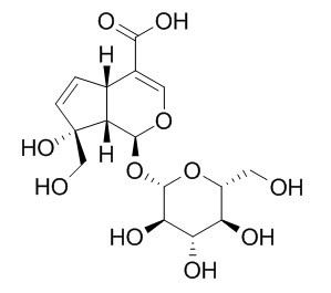 Monotropein