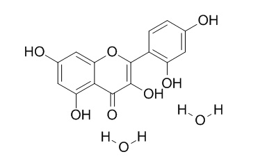 Morin dihydrate