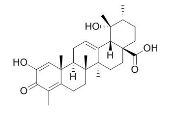 Negundonorin A