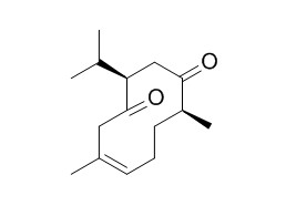 Neocurdione