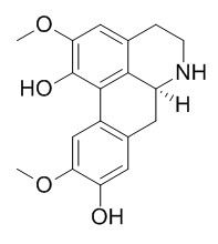 Norisoboldine