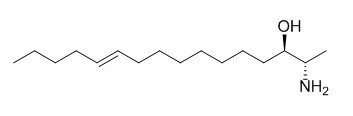 Obscuraminol E