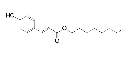 Octyl 3-(4-hydroxyphenyl)prop-2-enoate