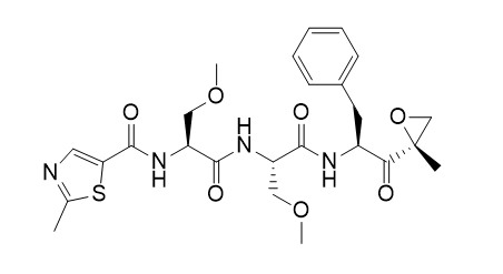 Oprozomib (ONX 0912)