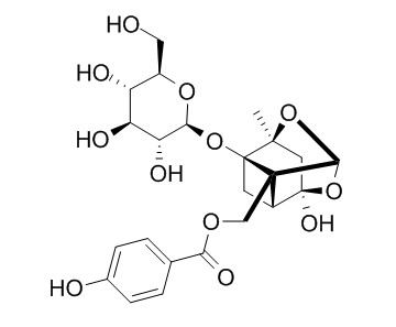 Oxypaeoniflorin