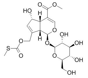 Paederosidic acid methyl ester