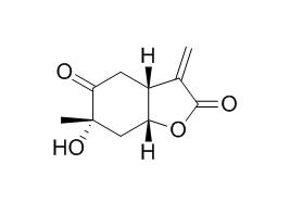 Paeonilactone B