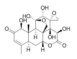 Pasakbumin B