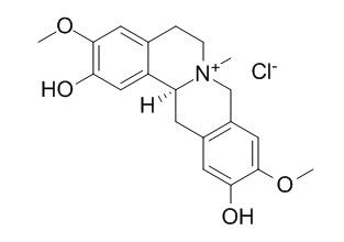 Phellodendrine chloride